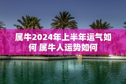 属牛2025年上半年运气如何 属牛人运势如何