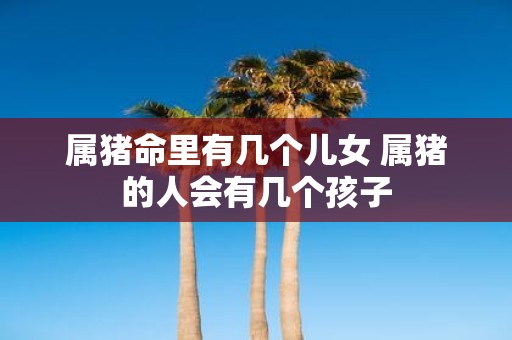 属猪命里有几个儿女 属猪的人会有几个孩子