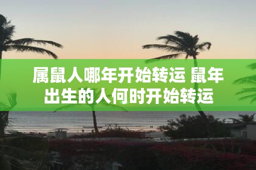 属鼠人哪年开始转运 鼠年出生的人何时开始转运