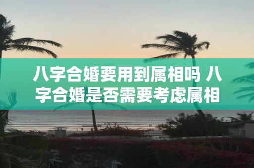 八字合婚要用到属相吗 八字合婚是否需要考虑属相