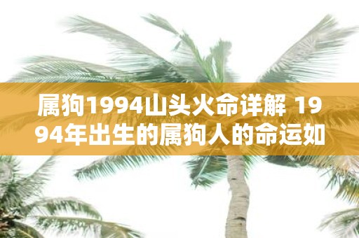 属狗1994山头火命详解 1994年出生的属狗人的命运如何