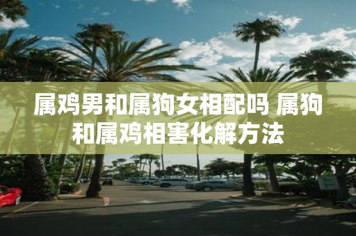 属鸡男和属狗女相配吗 属狗和属鸡相害化解方法