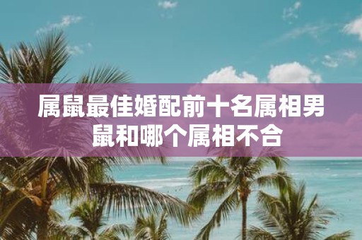 属鼠最佳婚配前十名属相男 鼠和哪个属相不合