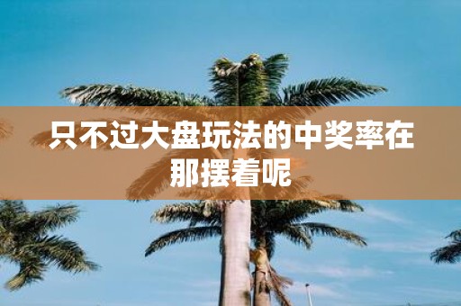 只不过大盘玩法的中奖率在那摆着呢