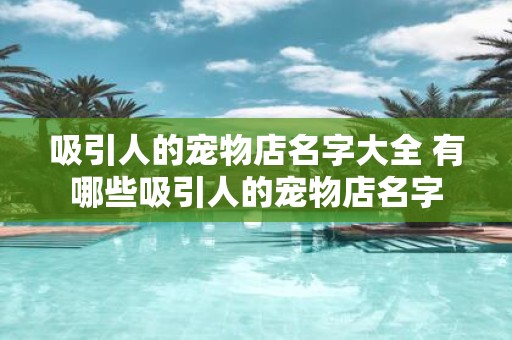 吸引人的宠物店名字大全 有哪些吸引人的宠物店名字