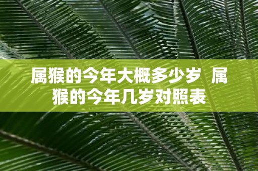 属猴的今年大概多少岁 属猴的今年几岁对照表