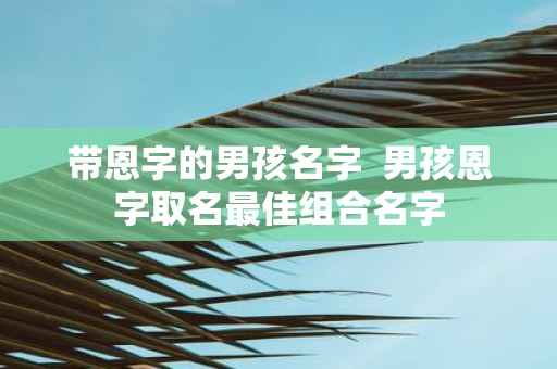 带恩字的男孩名字 男孩恩字取名最佳组合名字