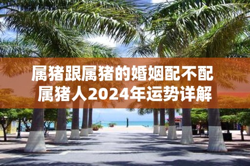 属猪跟属猪的婚姻配不配 属猪人2025年运势详解