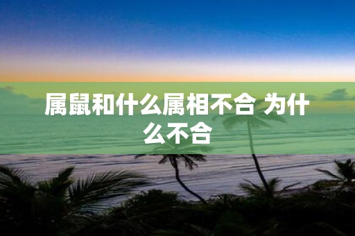 属鼠和什么属相不合 为什么不合
