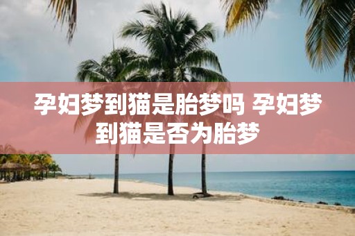 孕妇梦到猫是胎梦吗 孕妇梦到猫是否为胎梦