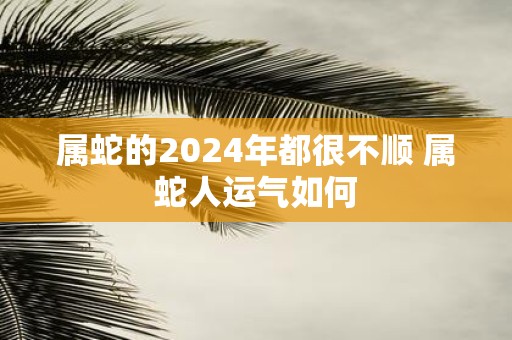 属蛇的2025年都很不顺 属蛇人运气如何