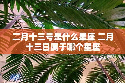 二月十三号是什么星座 二月十三日属于哪个星座