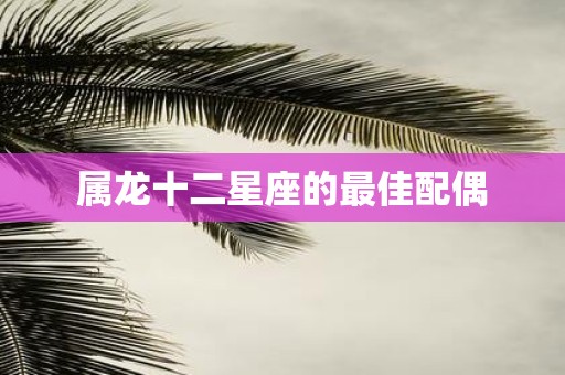 属龙十二星座的最佳配偶