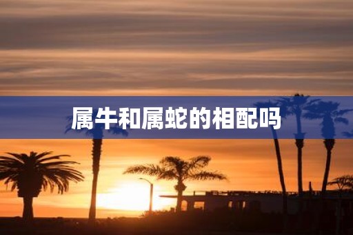 属牛和属蛇的相配吗