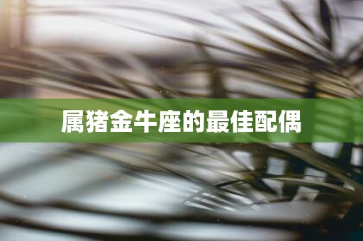 属猪金牛座的最佳配偶