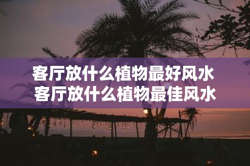 客厅放什么植物最好风水 客厅放什么植物最佳风水
