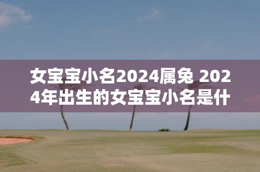 女宝宝小名2025属兔 2025年出生的女宝宝小名是什么