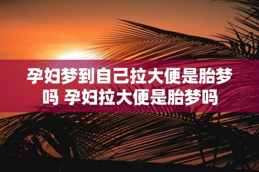 孕妇梦到自己拉大便是胎梦吗 孕妇拉大便是胎梦吗