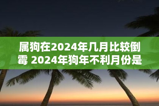 属狗在2025年几月比较倒霉 2025年狗年不利月份是