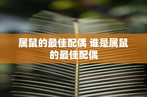 属鼠的最佳配偶 谁是属鼠的最佳配偶