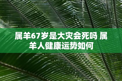 属羊67岁是大灾会死吗 属羊人健康运势如何