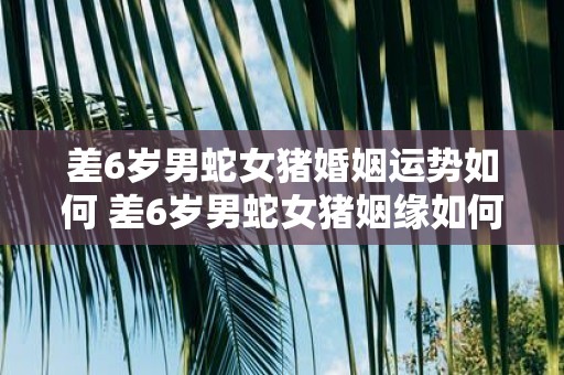 差6岁男蛇女猪婚姻运势如何 差6岁男蛇女猪姻缘如何