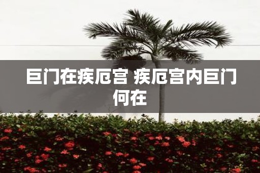 巨门在疾厄宫 疾厄宫内巨门何在