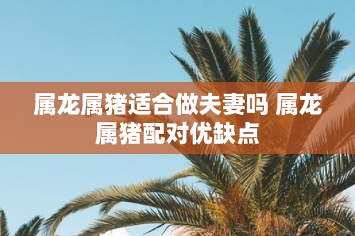 属龙属猪适合做夫妻吗 属龙属猪配对优缺点