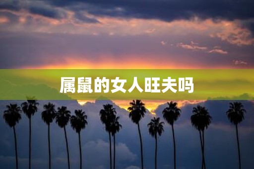 属鼠的女人旺夫吗