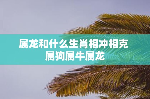属龙和什么生肖相冲相克 属狗属牛属龙