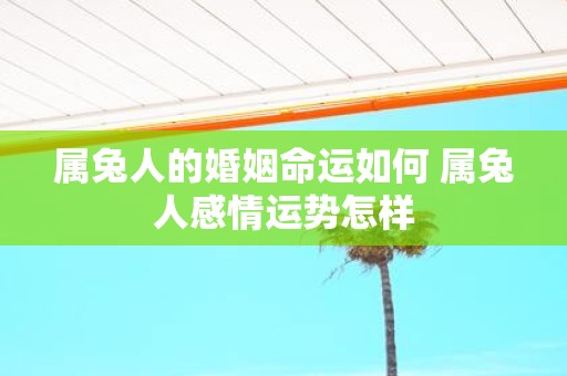 属兔人的婚姻命运如何 属兔人感情运势怎样