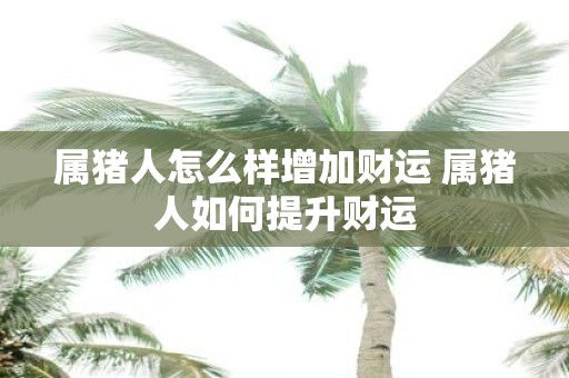 属猪人怎么样增加财运 属猪人如何提升财运