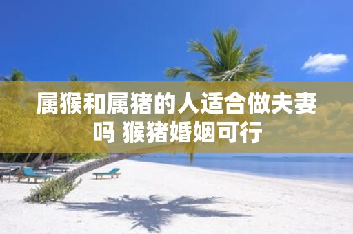 属猴和属猪的人适合做夫妻吗 猴猪婚姻可行