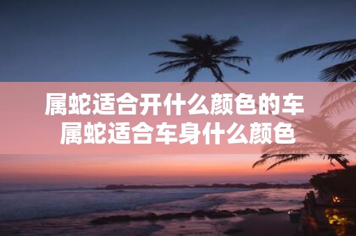 属蛇适合开什么颜色的车 属蛇适合车身什么颜色