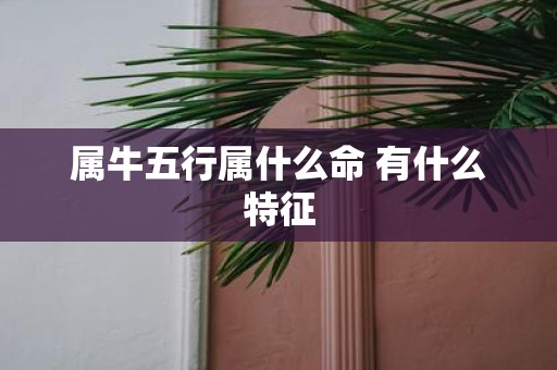 属牛五行属什么命 有什么特征
