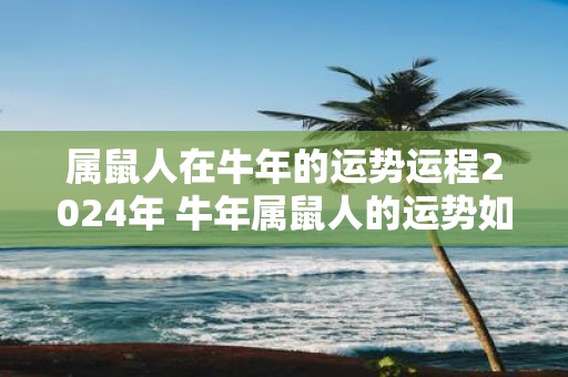 属鼠人在牛年的运势运程2025年 牛年属鼠人的运势如何