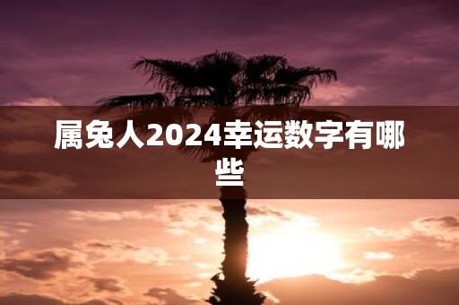 属兔人2025幸运数字有哪些