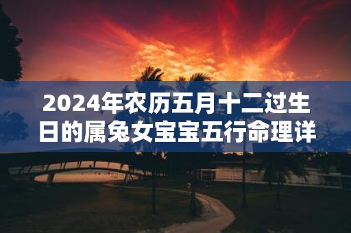 2025年农历五月十二过生日的属兔女宝宝五行命理详解