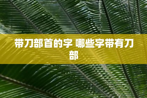 带刀部首的字 哪些字带有刀部