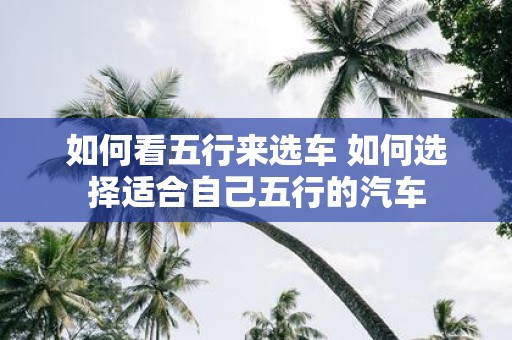 如何看五行来选车 如何选择适合自己五行的汽车