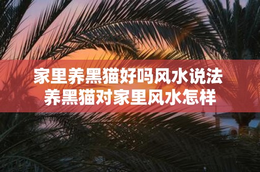 家里养黑猫好吗风水说法 养黑猫对家里风水怎样