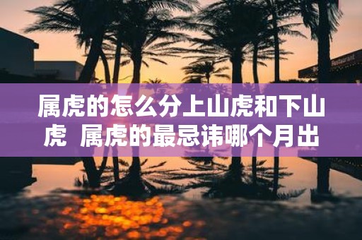 属虎的怎么分上山虎和下山虎 属虎的最忌讳哪个月出生