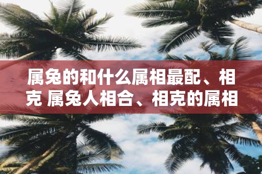 属兔的和什么属相最配、相克 属兔人相合、相克的属相有哪些