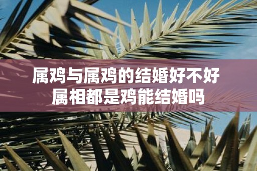 属鸡与属鸡的结婚好不好 属相都是鸡能结婚吗