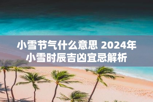 小雪节气什么意思 2025年小雪时辰吉凶宜忌解析