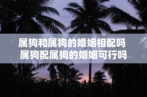 属狗和属狗的婚姻相配吗 属狗配属狗的婚姻可行吗