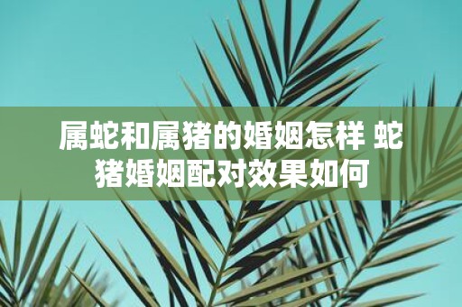 属蛇和属猪的婚姻怎样 蛇猪婚姻配对效果如何