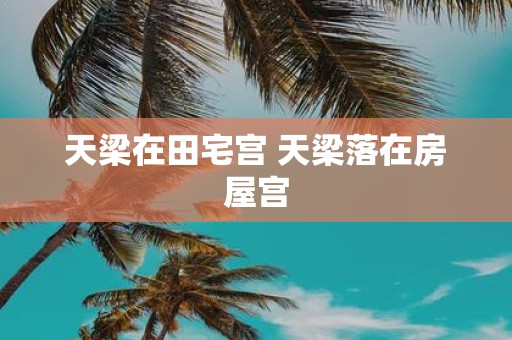 天梁在田宅宫 天梁落在房屋宫
