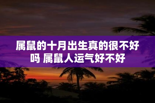 属鼠的十月出生真的很不好吗 属鼠人运气好不好