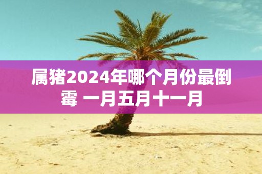 属猪2025年哪个月份最倒霉 一月五月十一月